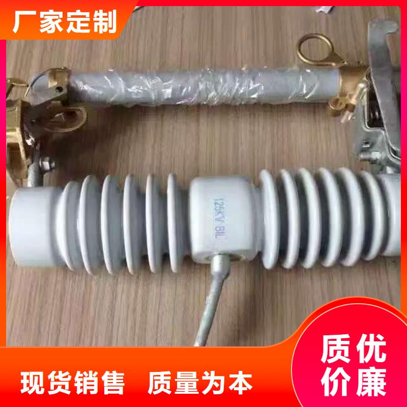 熔斷器【SHW1塑料外殼斷路器】真材實料
