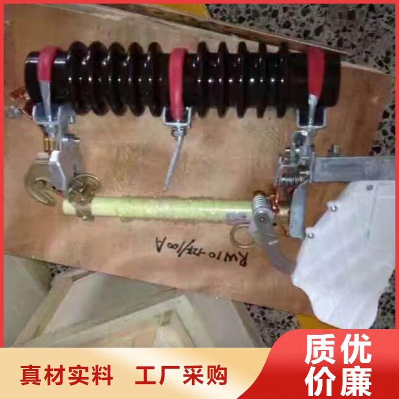 高壓熔斷器/HRW12-15/100A
