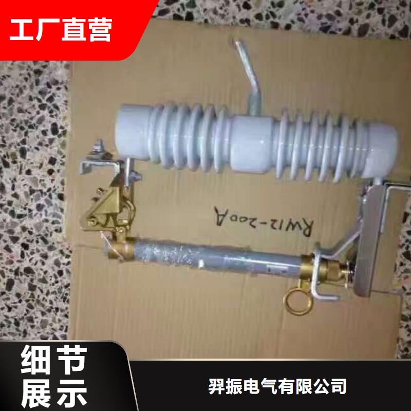 高壓熔斷器/HRW12-15/100A