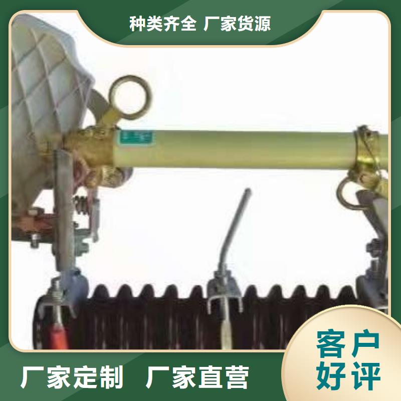 【跌落式熔斷器】PRW12-15/100A