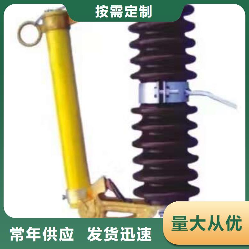 熔断器高压真空断路器厂家现货批发