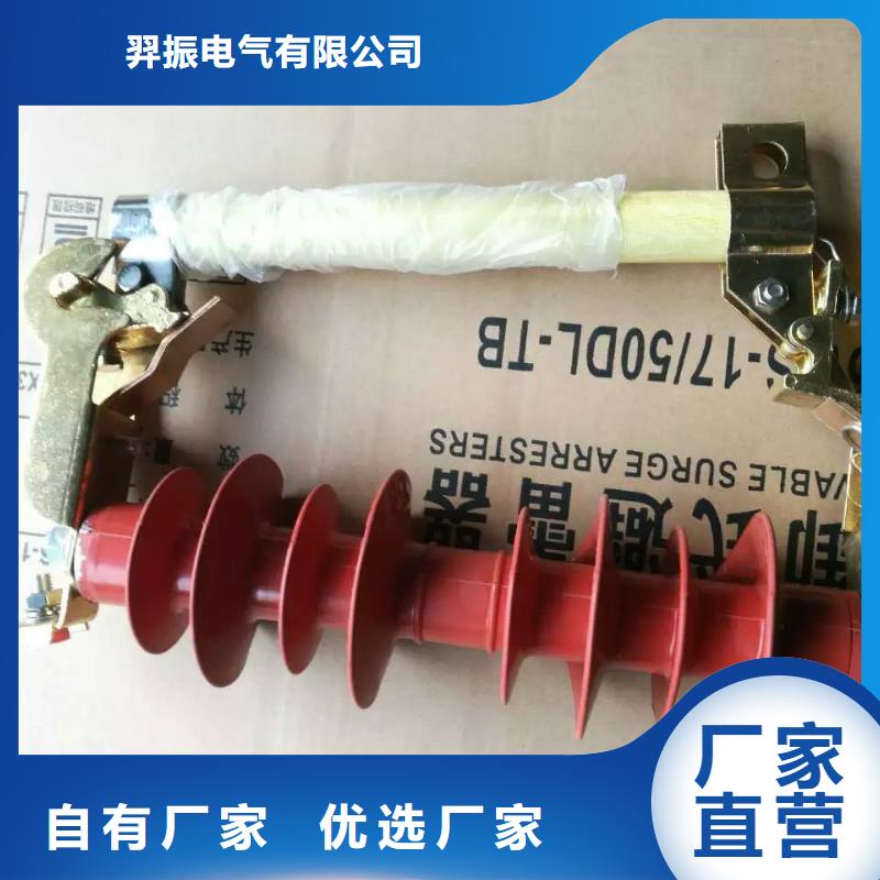 熔断器高压负荷开关用心做产品