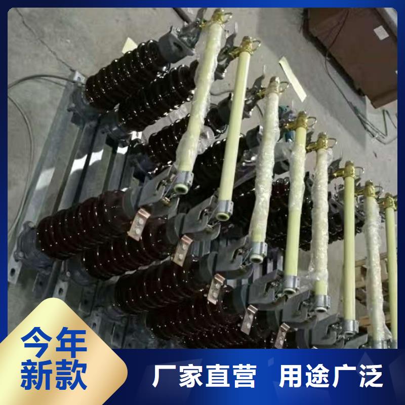 跌落式熔斷器RW12-12/100A