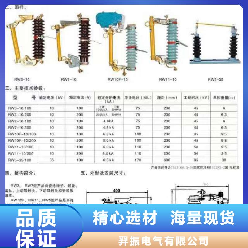 -交流熔斷器/AC20kV/100A/跌落式/瓷質