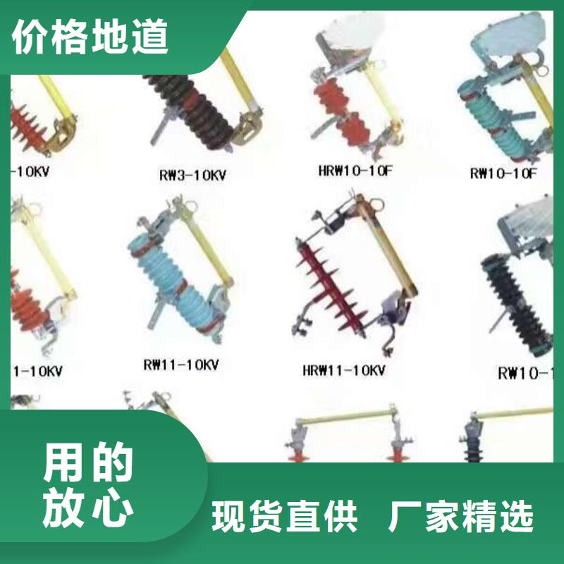高壓熔斷器/HRW12-15/100A
