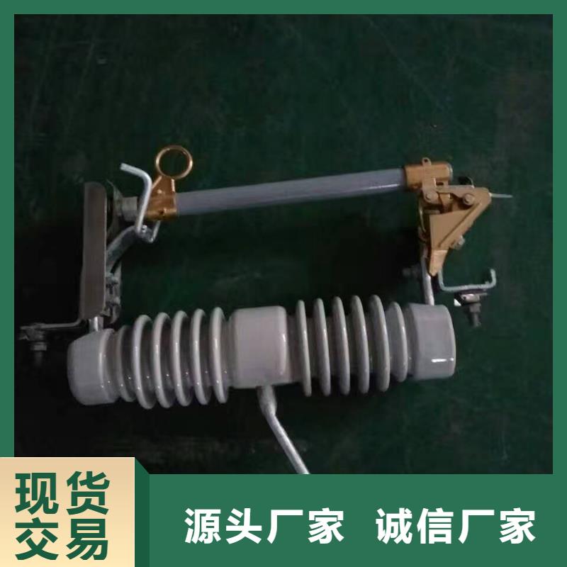 【跌落式熔斷器】RW12-15/100浙江羿振電氣有限公司
