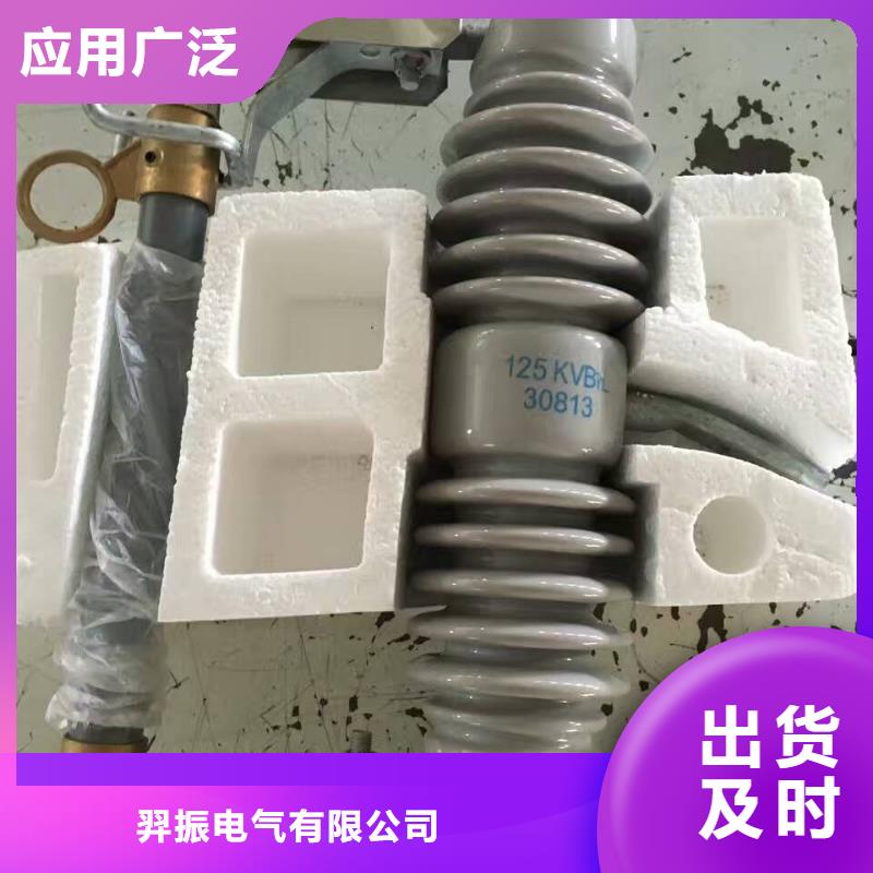 熔斷器,絕緣子廠家廠家案例