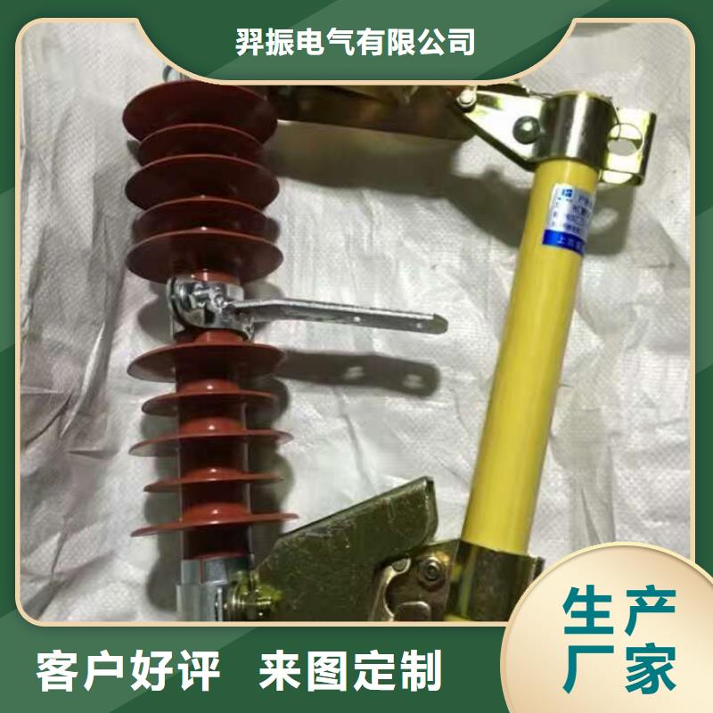 高壓熔斷器/35kV高壓跌落式熔斷器RTF13