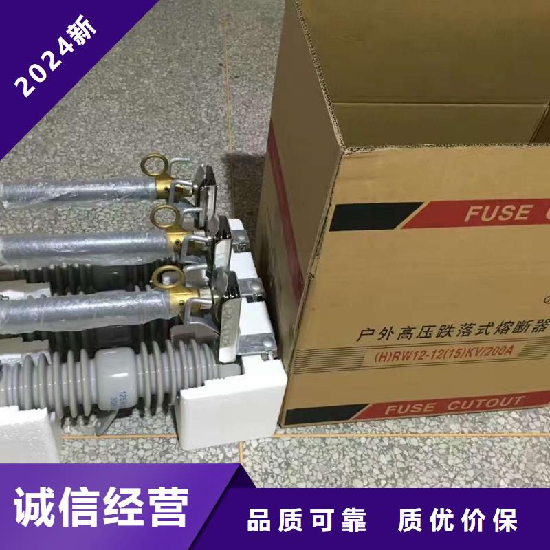 高壓熔斷器/HPRW12-10KV/100A