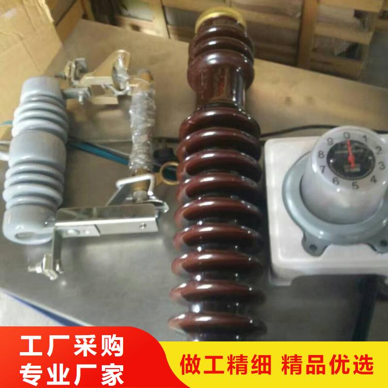 高壓熔斷器/RW6-66