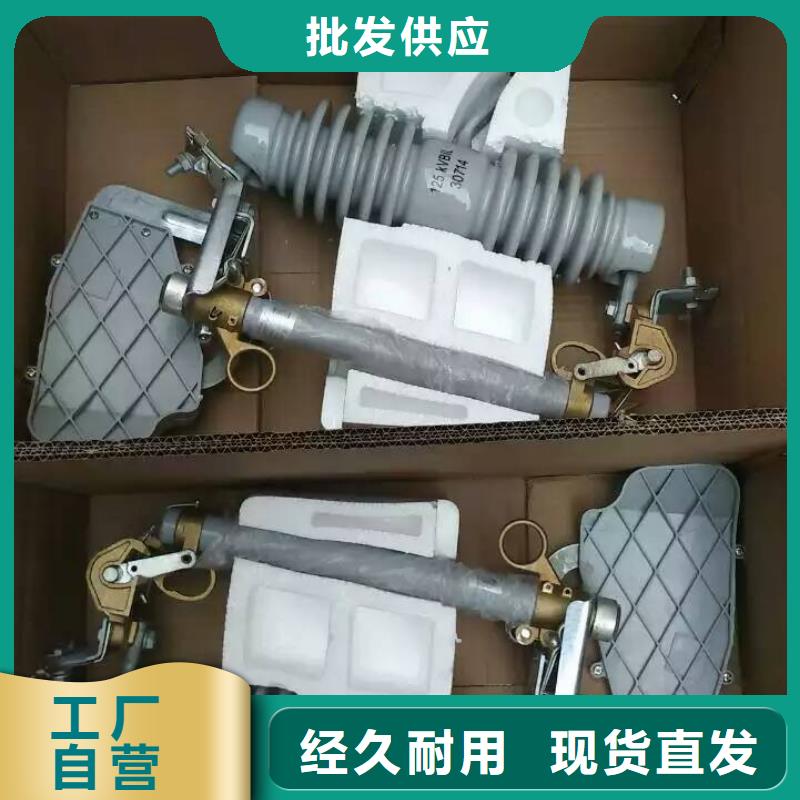 熔断器跌落式熔断器厂家好货直销