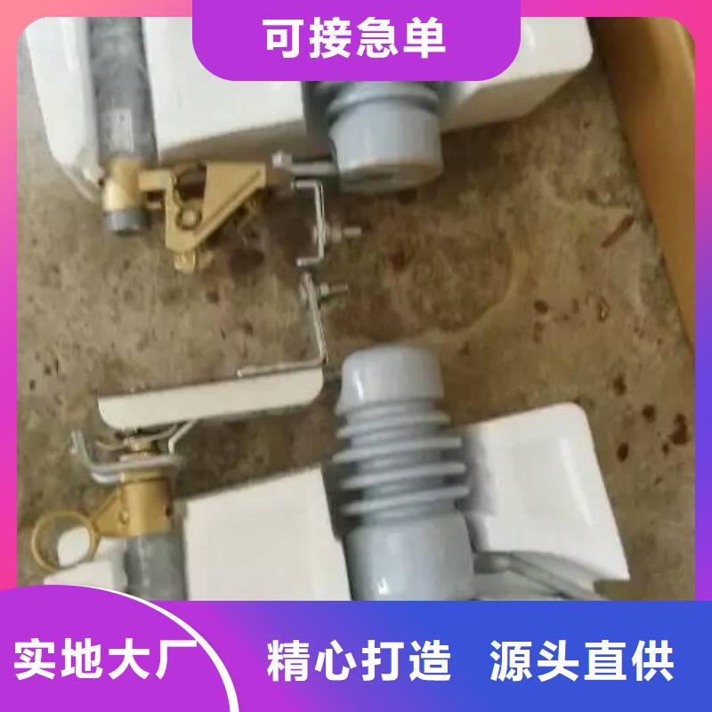高壓熔斷器/PRW7-10/200A