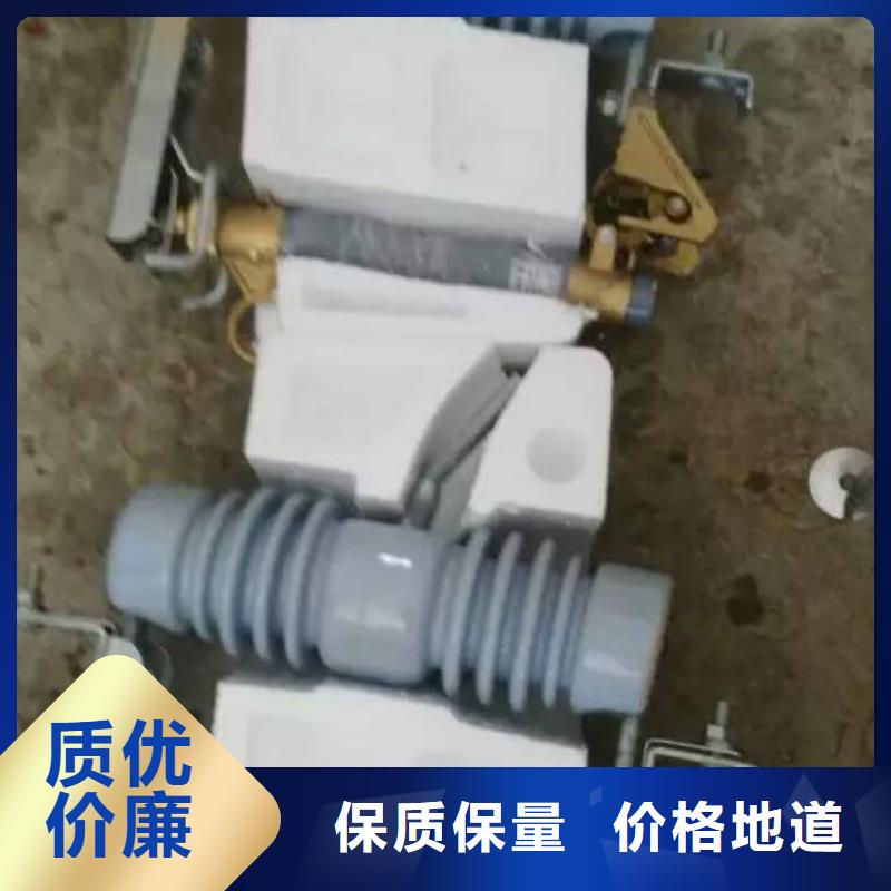 高壓熔斷器/HPRW12-10KV/100A