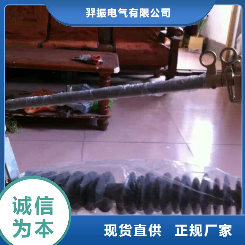 【跌落式熔斷器】PRW12-15/100A