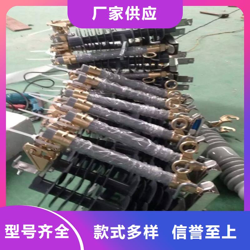 熔斷器-【金屬氧化物避雷器】質檢嚴格放心品質