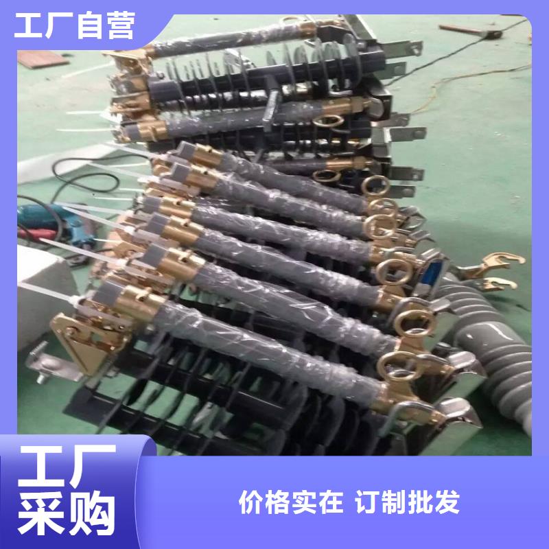 熔斷器雙電源真空斷路器大廠家實力看得見