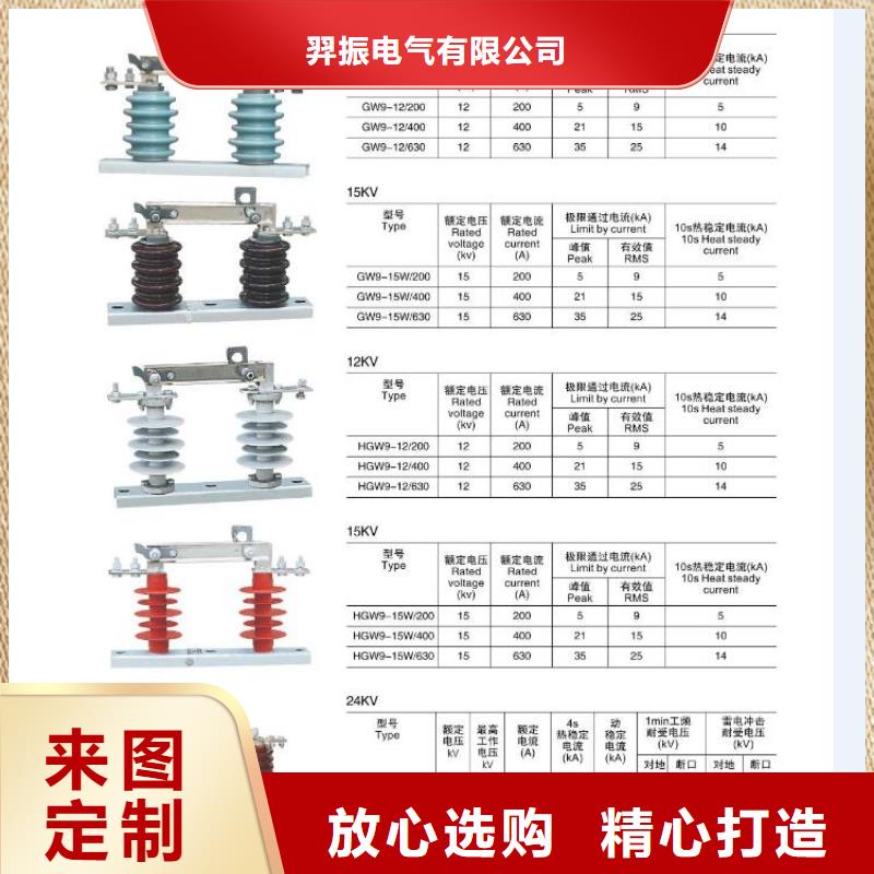 高壓熔斷器-高壓熔斷器RW12-24F/200A