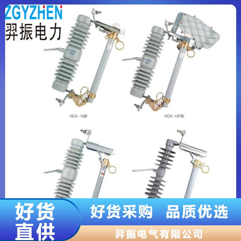 【高壓并聯(lián)電容器】BAM11/3-150-1W
