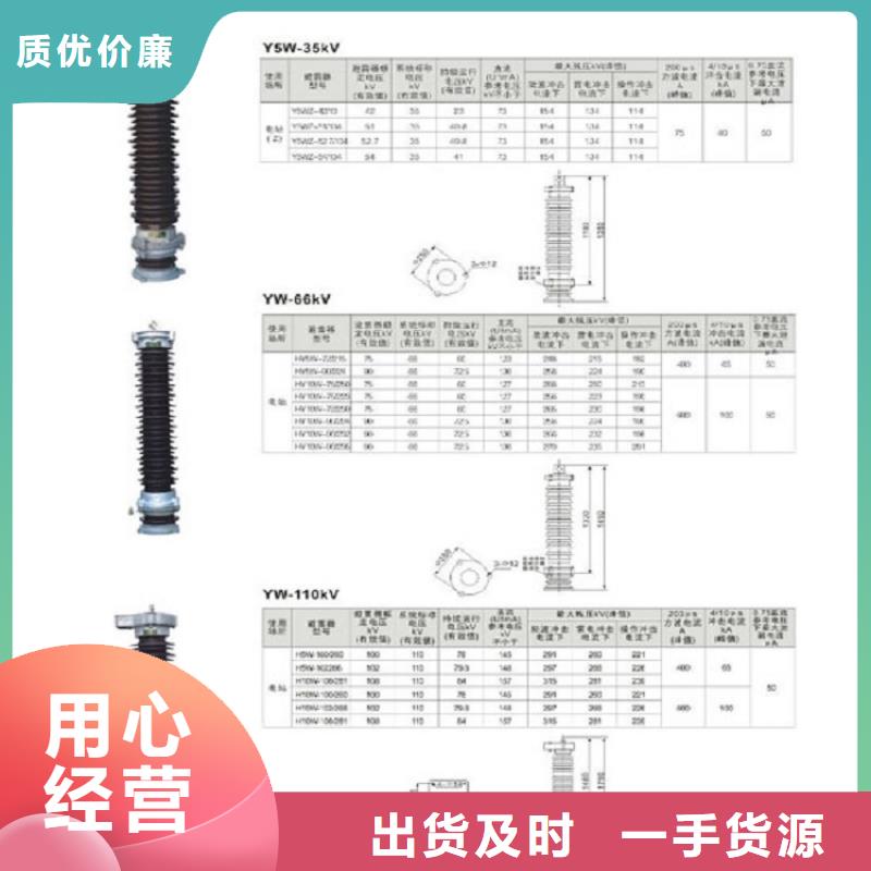 高壓熔斷器-RW12-12F/100A