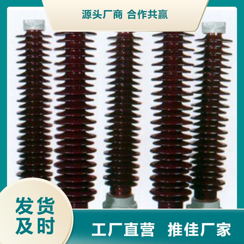 高壓熔斷器-高壓熔斷器RW12-24F/200A