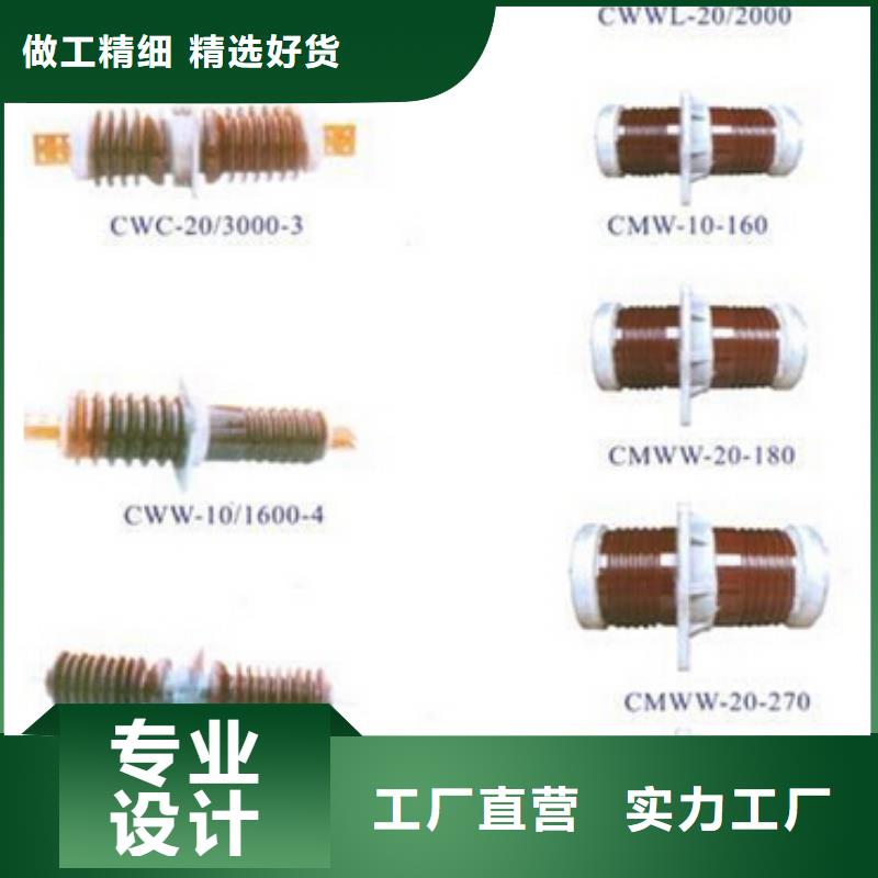 Y10W5-204/532GY-避雷器--廠商