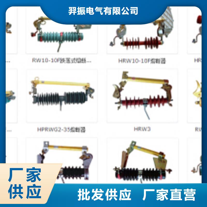 高壓熔斷器-RW12-12F/100A