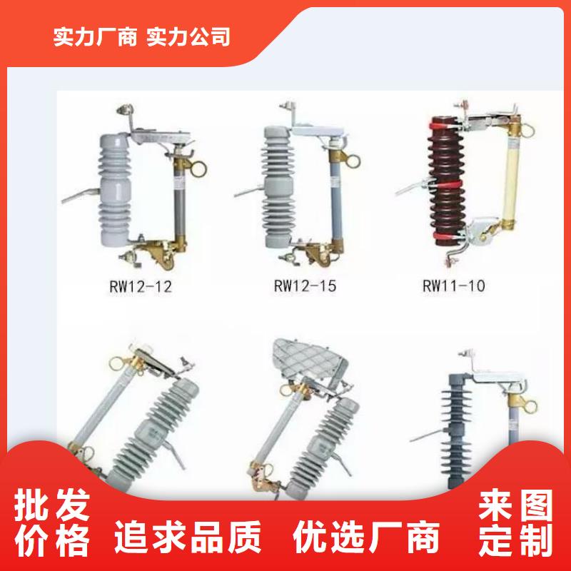 高壓熔斷器-RW12-12F/100A