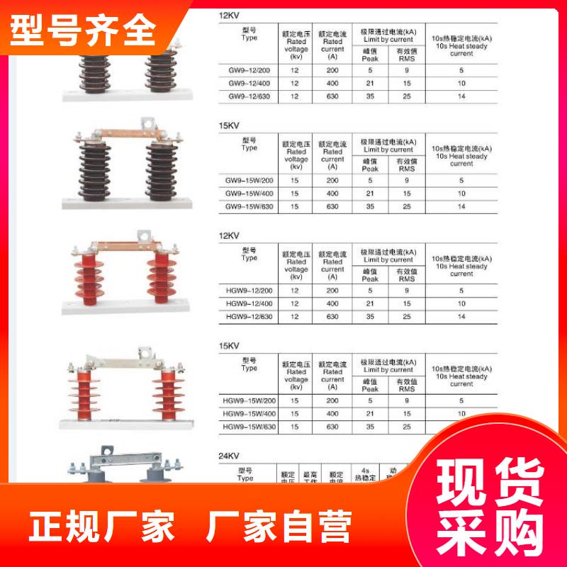 高压隔离开关塑壳式断路器源头厂家供应