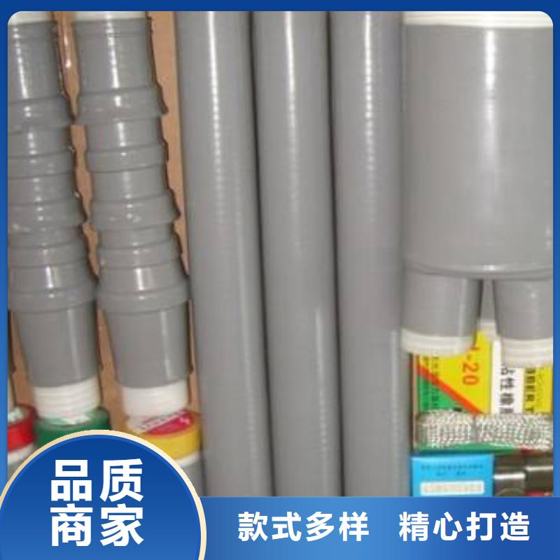 〖RSNY-3/3-10KV電纜終端頭