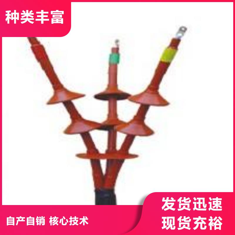 〖RSNY-3/3-10KV電纜終端頭