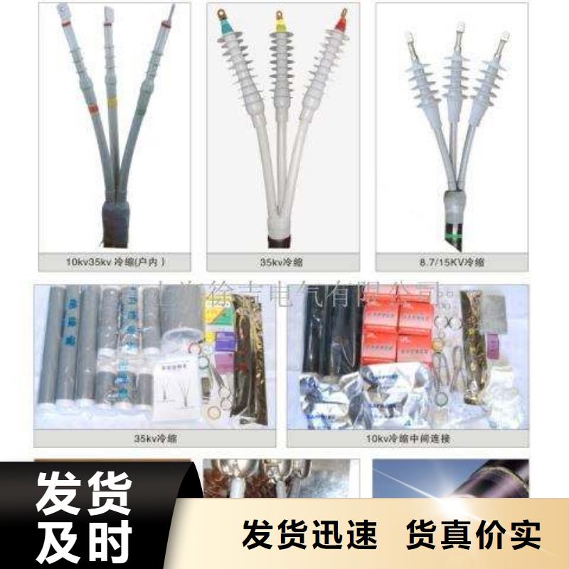冷縮電纜終端頭35KVLSN-1/3