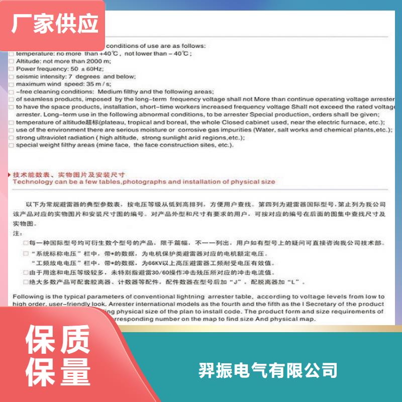 避雷器Y10W-100/260上海羿振電力設備有限公司