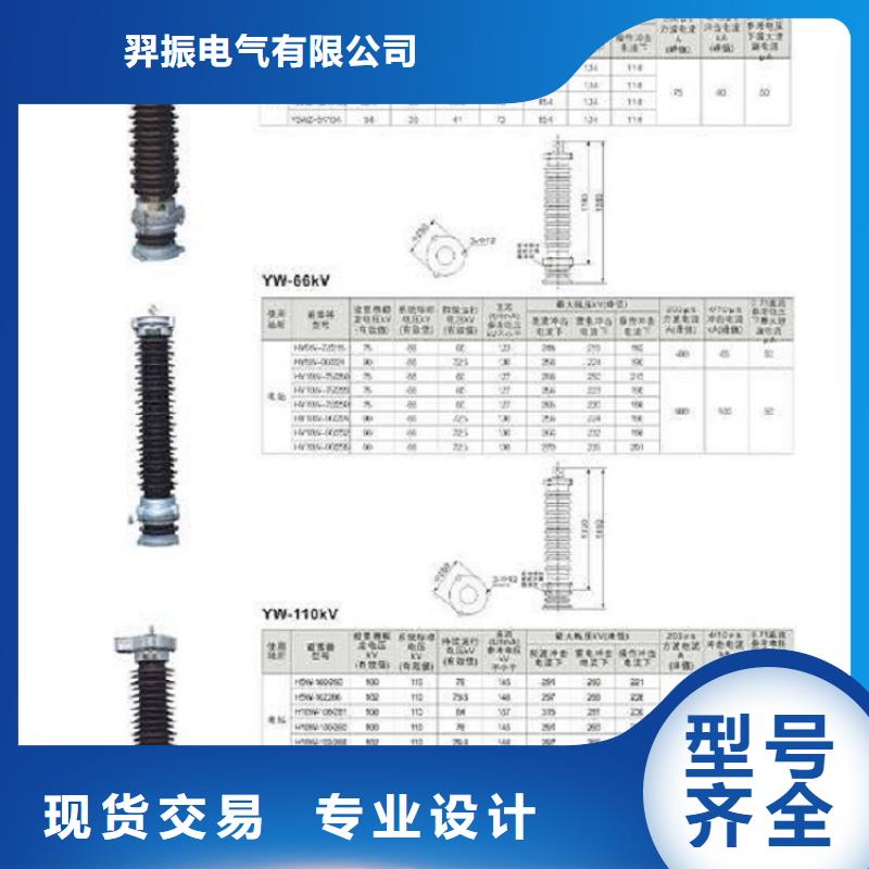 【避雷器】YH10W5-100/260-浙江羿振電氣有限公司