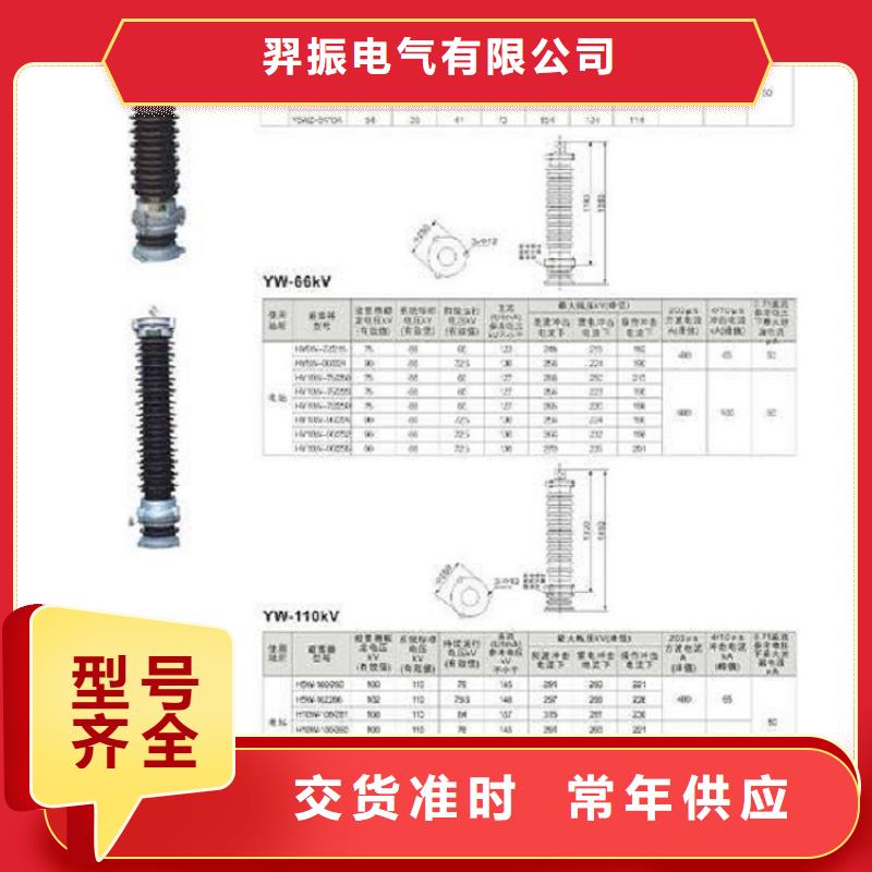 可卸式避雷器HY5WS-17/50DL.