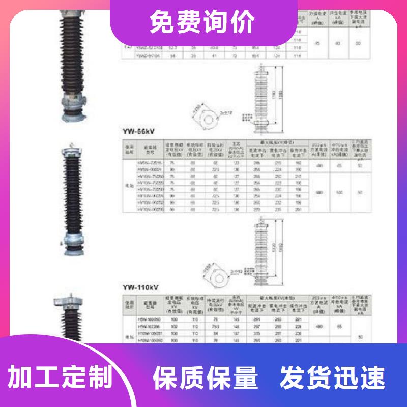【羿振電氣】避雷器HYSWS-17/50