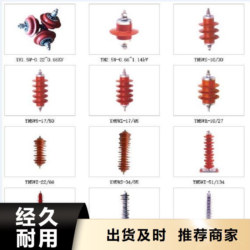 【避雷器】Y5W5-84/221W-浙江羿振電氣有限公司
