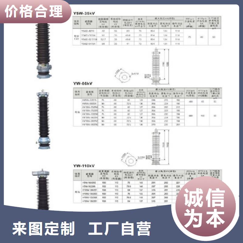 【避雷器】Y5W5-84/221W-浙江羿振電氣有限公司