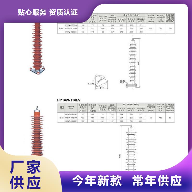避雷器Y10W5-216/562【羿振電氣】