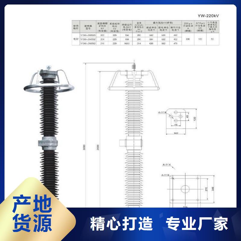 金屬氧化物避雷器Y10W-200/496【浙江羿振電氣有限公司】