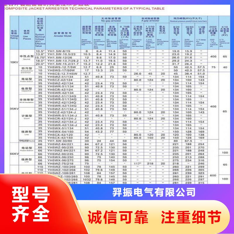 避雷器Y10W-204/532【羿振電氣】