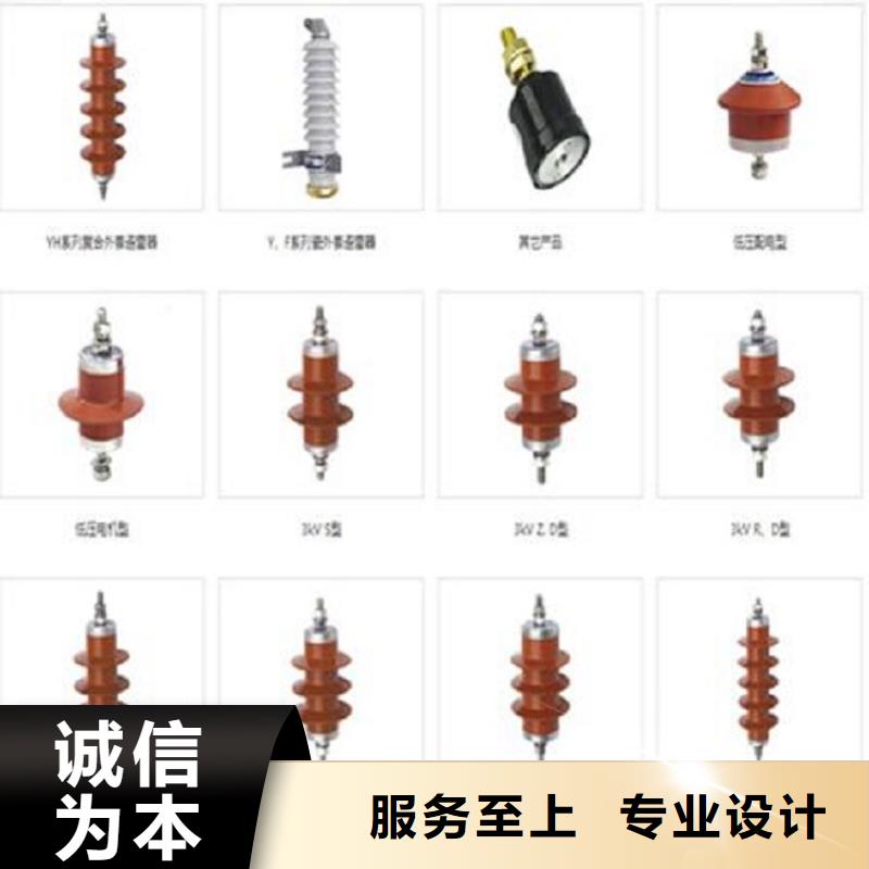 避雷器YH10CX-102/296J【羿振電氣】