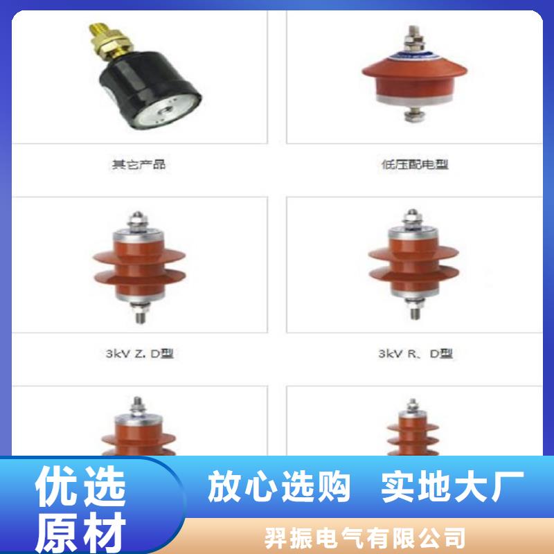 Y10W1-96/250