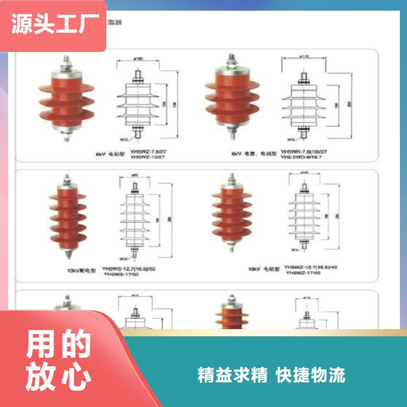 【氧化鋅避雷器】避雷器Y5WZ-51/134GW