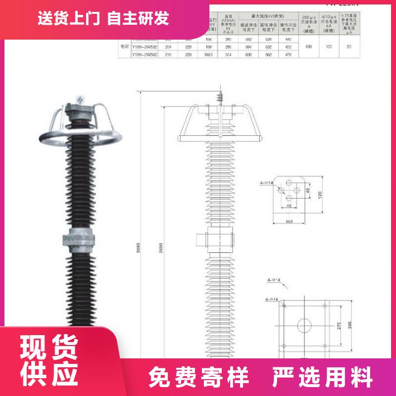避雷器Y10W-100/260上海羿振電力設備有限公司
