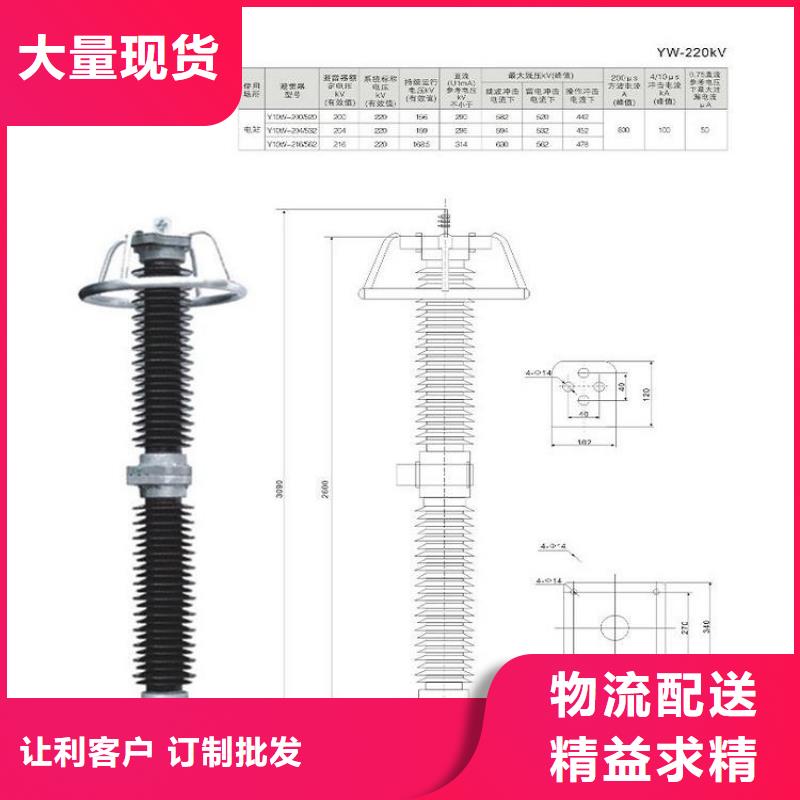 金屬氧化物避雷器Y10W-100/260