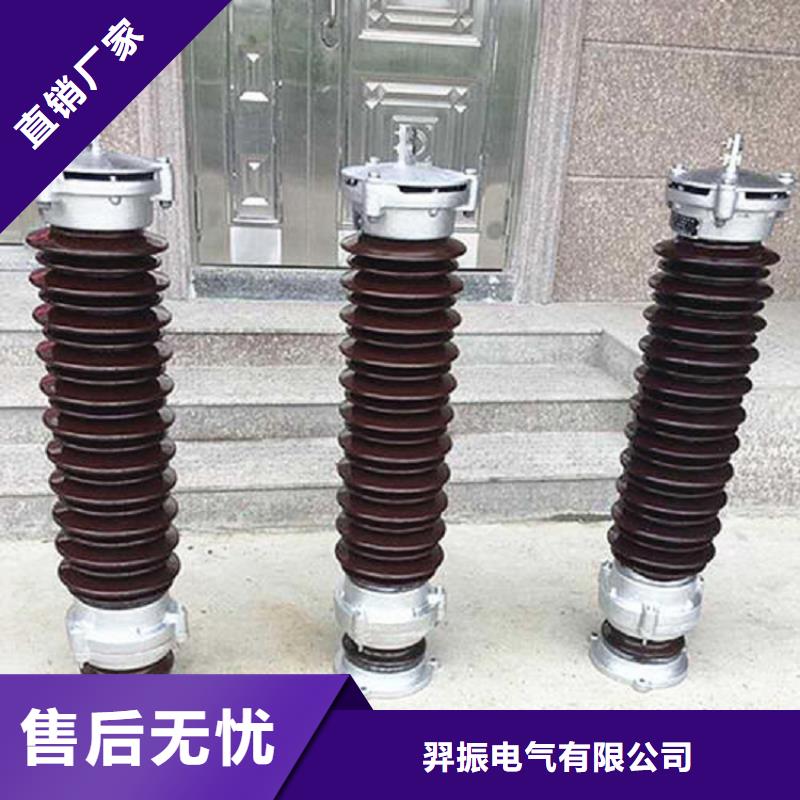 可卸式避雷器HY5WS-17/50DL.