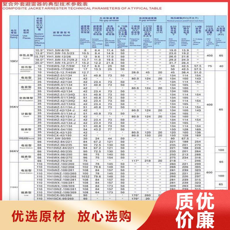 金屬氧化物避雷器Y10W-204/532生產廠家