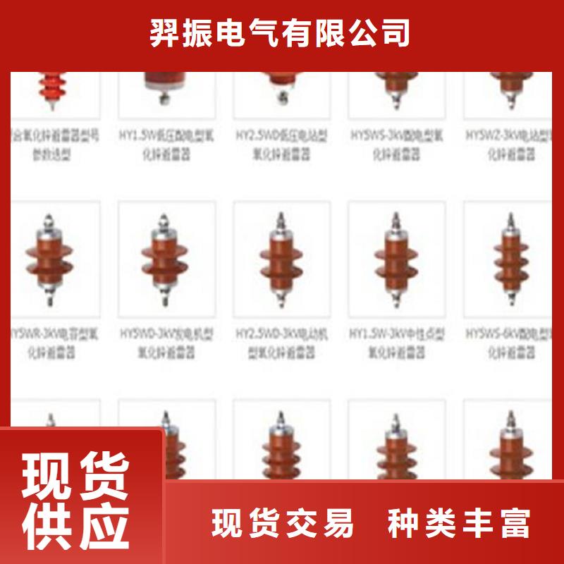 Y10W1-96/250