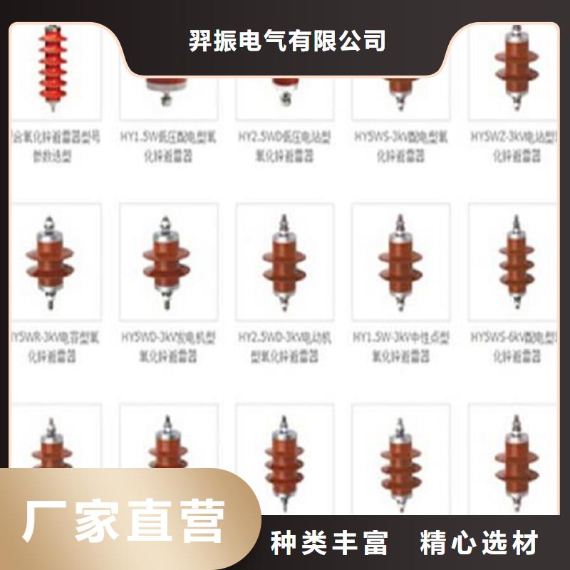 【避雷器】Y10W5-51/134
