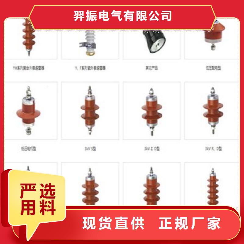【避雷器】Y10W5-51/134
